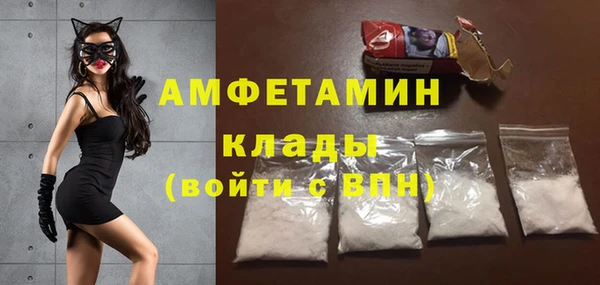 ГАЛЛЮЦИНОГЕННЫЕ ГРИБЫ Аркадак