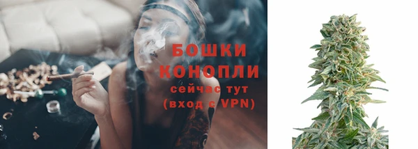 ГАЛЛЮЦИНОГЕННЫЕ ГРИБЫ Аркадак