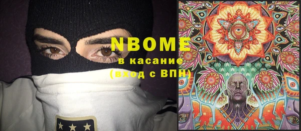 ГАЛЛЮЦИНОГЕННЫЕ ГРИБЫ Аркадак