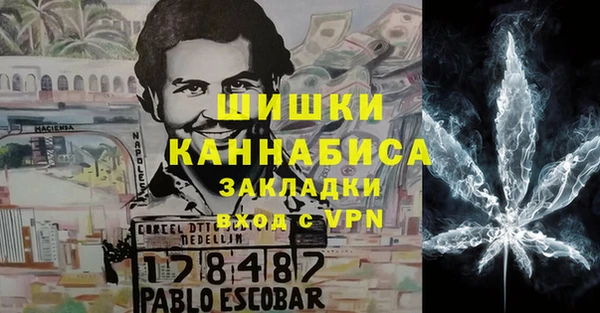 ГАЛЛЮЦИНОГЕННЫЕ ГРИБЫ Аркадак