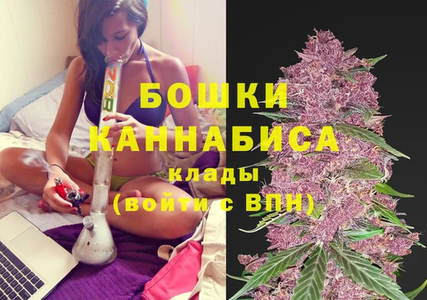 сатива Арсеньев