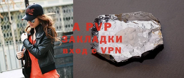 сатива Арсеньев
