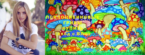ГАЛЛЮЦИНОГЕННЫЕ ГРИБЫ Аркадак