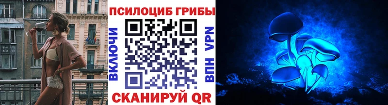 Псилоцибиновые грибы мухоморы  купить  сайты  ОМГ ОМГ   Новокубанск 